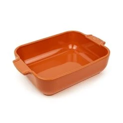 Peugeot Plat Rectangulaire Céramique Terracotta 25 Cm