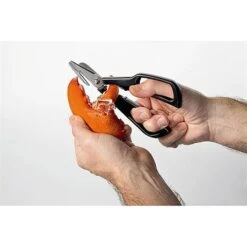 Ciseaux à Crustacés Noir 7 Ciseaux à Crustacés Noir -Cuisine Fournitures Boutique 45120 3 3 Ciseaux a crustaces noir Moha