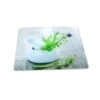 Protection Murale En Verre Jardin De Fines Herbes